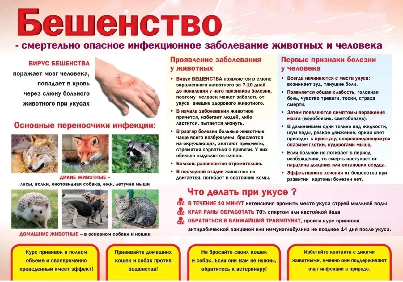 Памятка 1